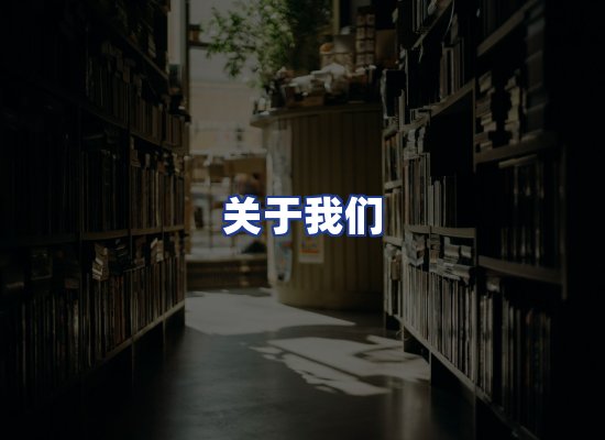专业团队